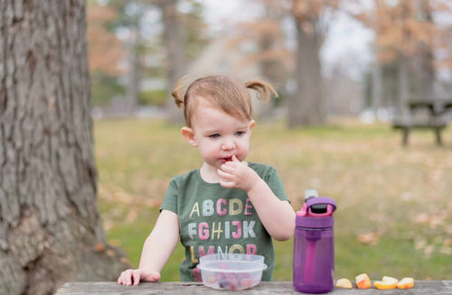 7 Nappy Bag Snacks for Healthy Munching on the Go
