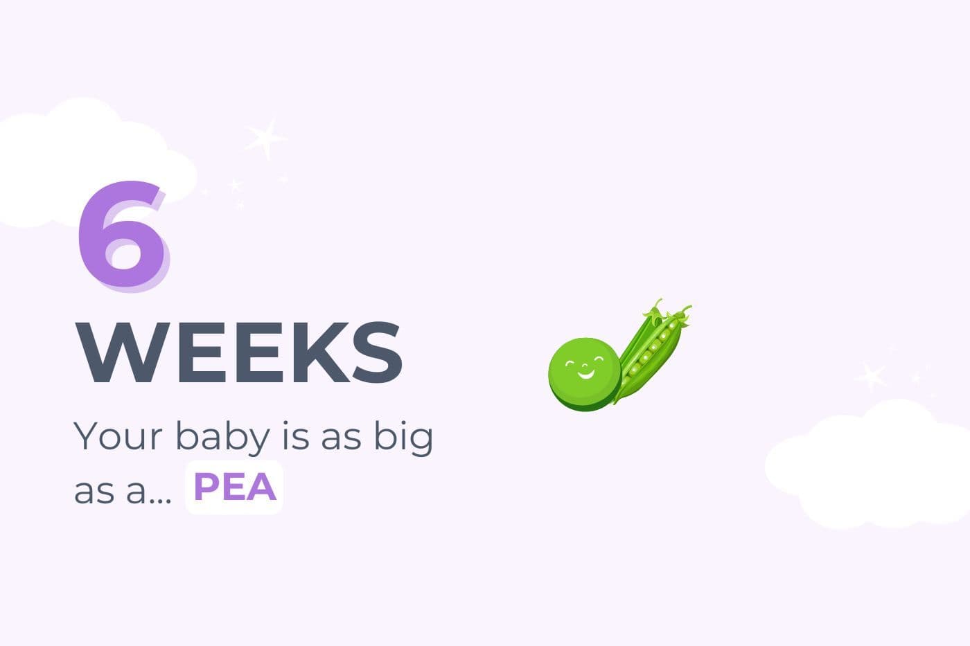 6-weeks-pregnant-your-baby-is-as-big-as-a-pea