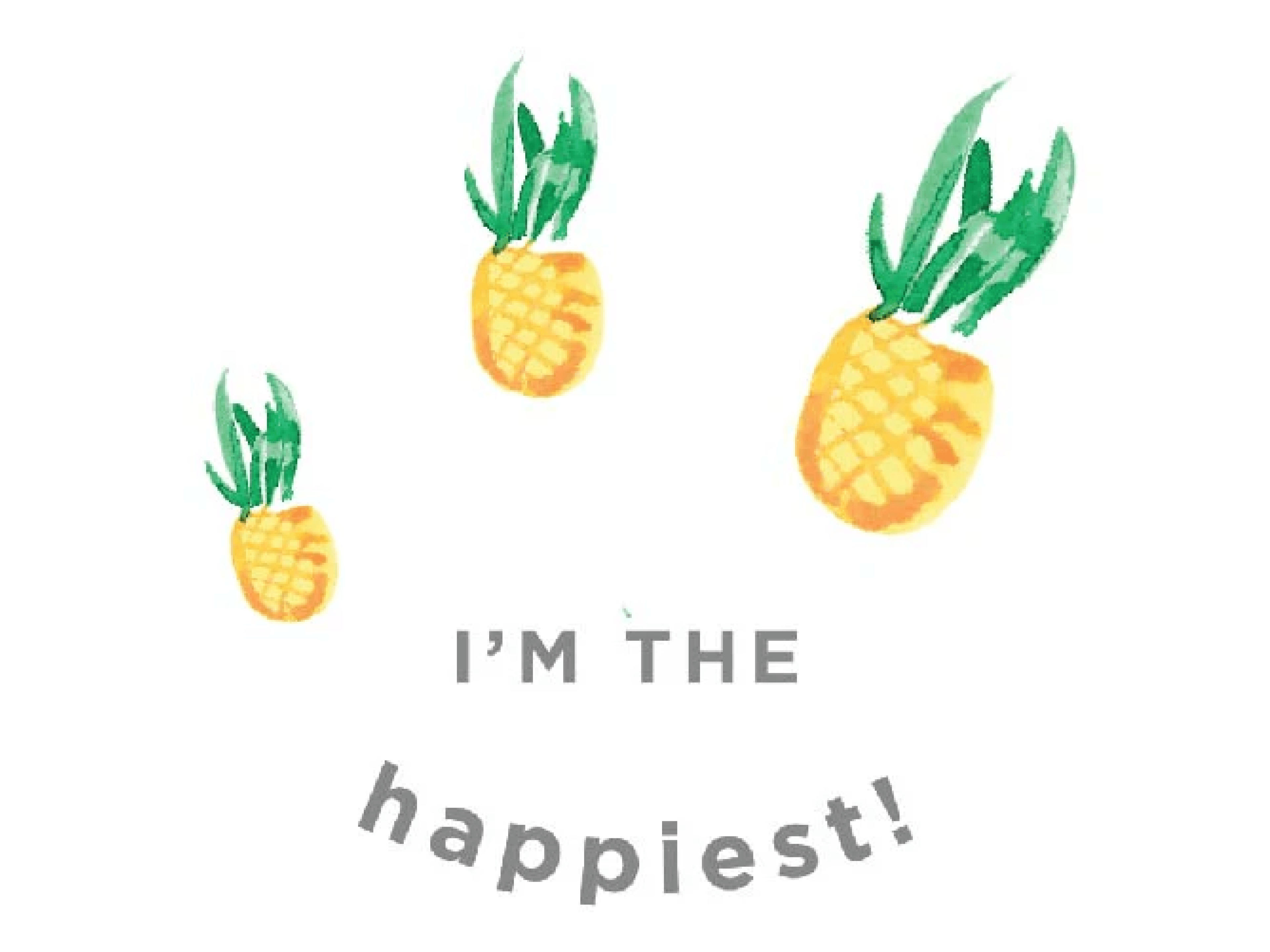 Pineapple 2-Pack Bundle