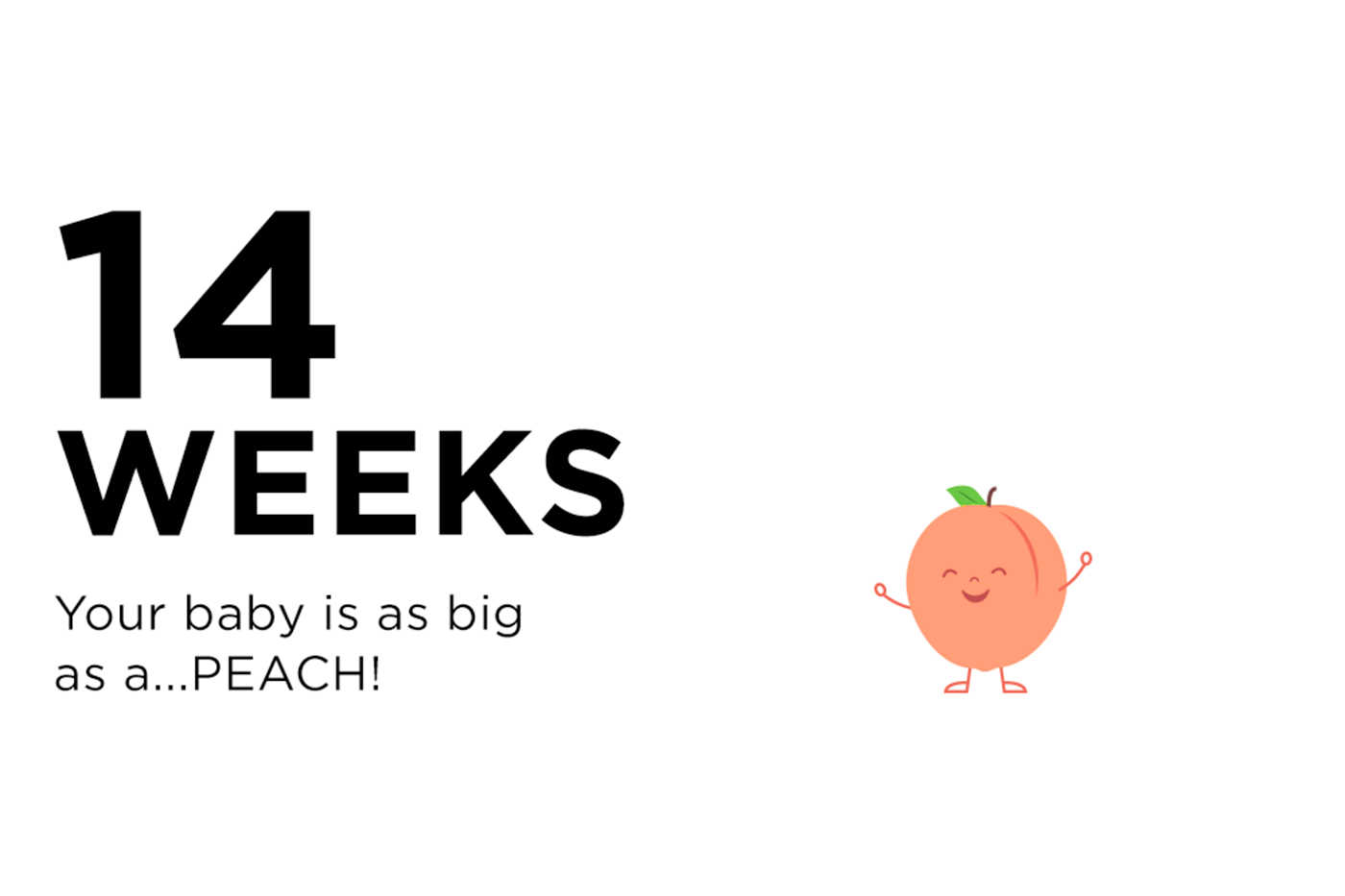 14 Weeks Pregnant: The Happiest Baby Guide to Pregnancy Week by Week ...