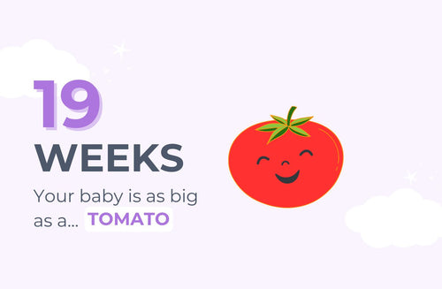 19 Weeks Pregnant: How Your Health Affects Your Baby’s