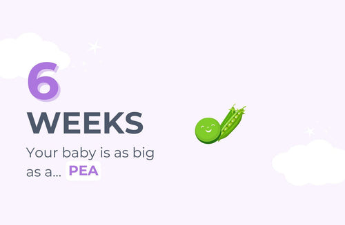 6 Weeks Pregnant: Hello, Morning Sickness