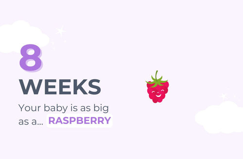 8 Weeks Pregnant: Hang that Ultrasound Up!